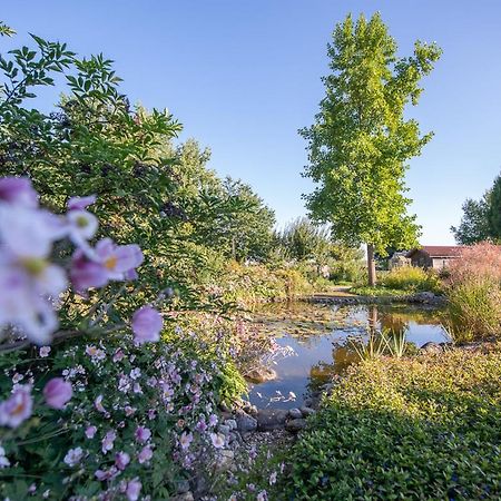 Einzigartige Naturoase im Süden von Ingolstadt Brautlach Exterior foto